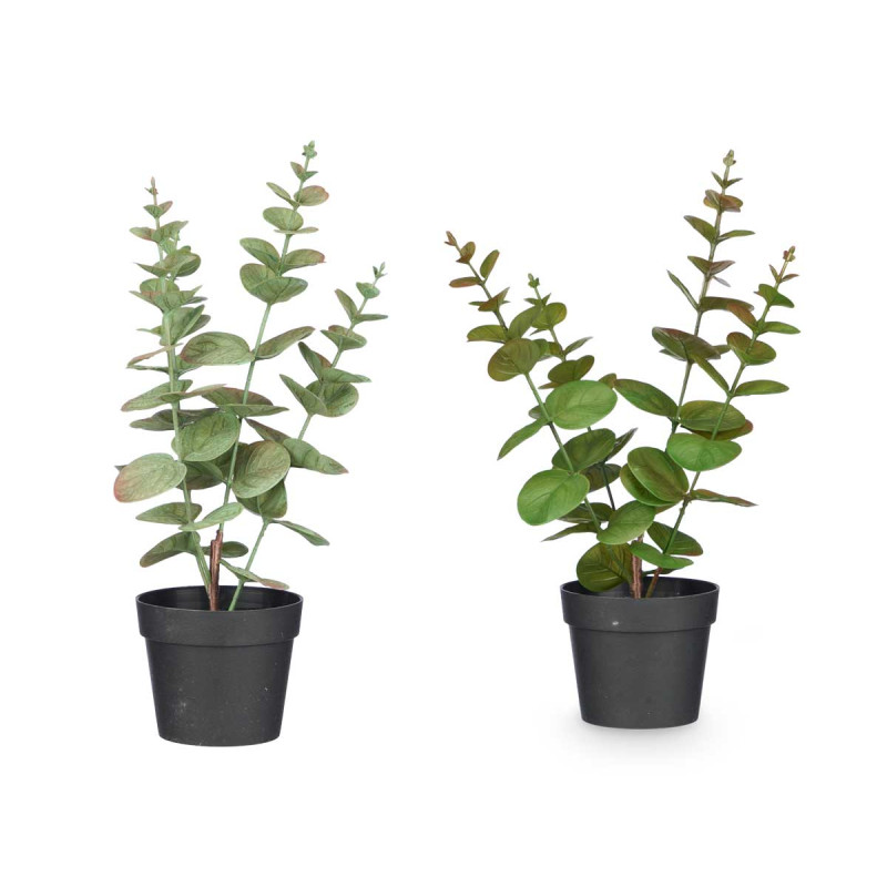MATTE GLOSS POT ROUND LEAF PLANT ASSORTED 4 COL