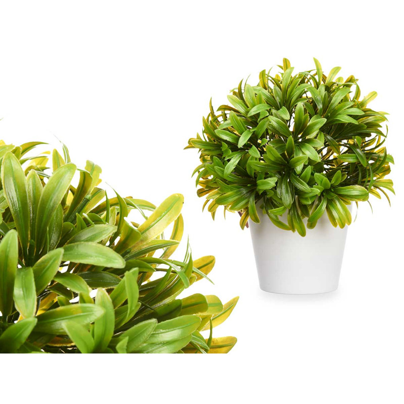 PIANTE FOGLIE SOTTILI VASO BIANCO