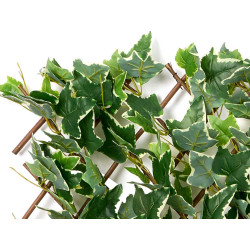 EXTENDABLE PANEL 9+E65:E880X180CM GREEN WHITE LEAF