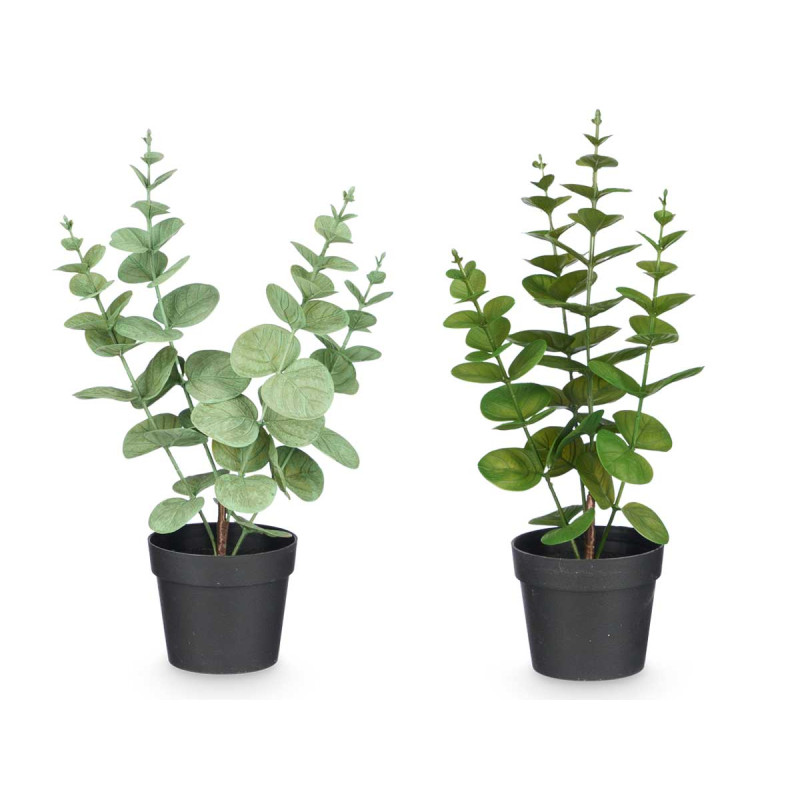 MATTE GLOSS POT ROUND LEAF PLANT ASSORTED 4 COL