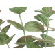 MATTE GLOSS POT ROUND LEAF PLANT ASSORTED 4 COL