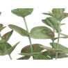 MATTE GLOSS POT ROUND LEAF PLANT ASSORTED 4 COL