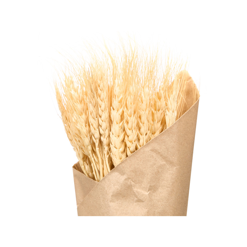 RAMILLETE TRIGO NATURAL SURT 3 COL