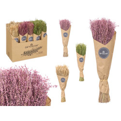 MAZZETTO GRANO NATURALE ASSORTITO 3 COL