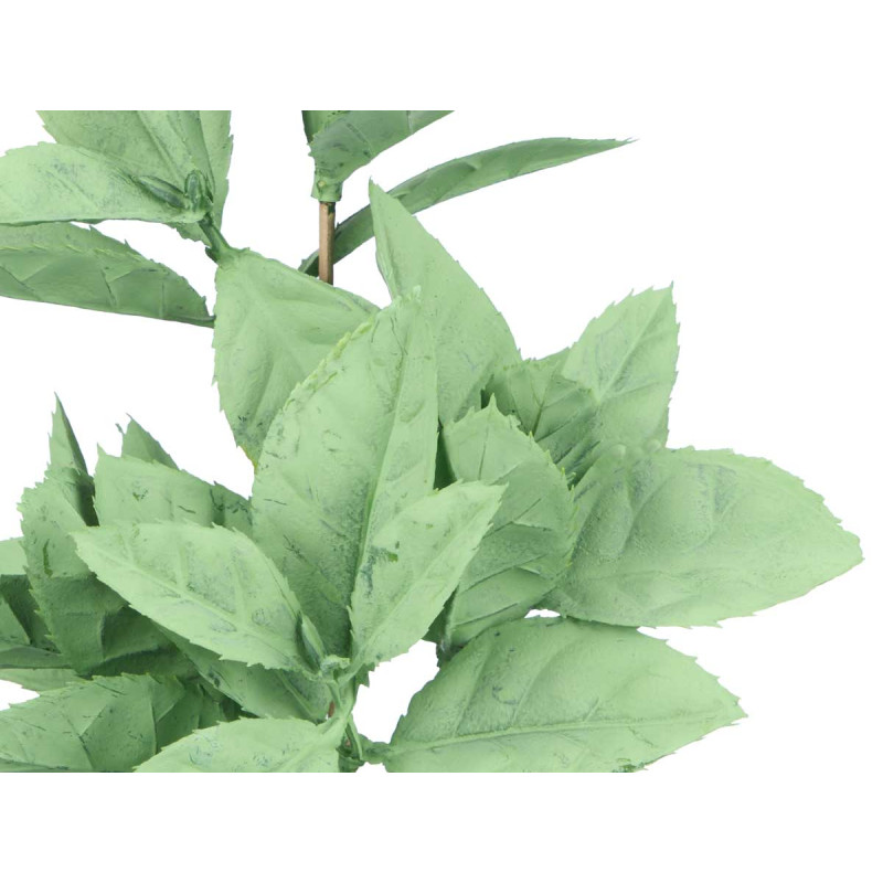 MATTE GLOSS POT POINTED LEAF PLANT ASSORTED 4 COL