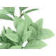 MATTE GLOSS POT POINTED LEAF PLANT ASSORTED 4 COL