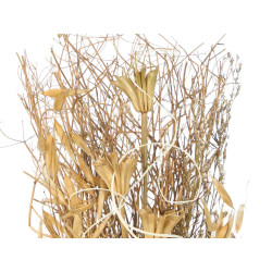 BALL FLOWERS VASE ASSORTED 2 COLOURS