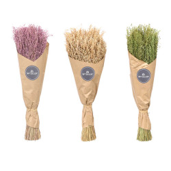 MAZZETTO GRANO NATURALE ASSORTITO 3 COL