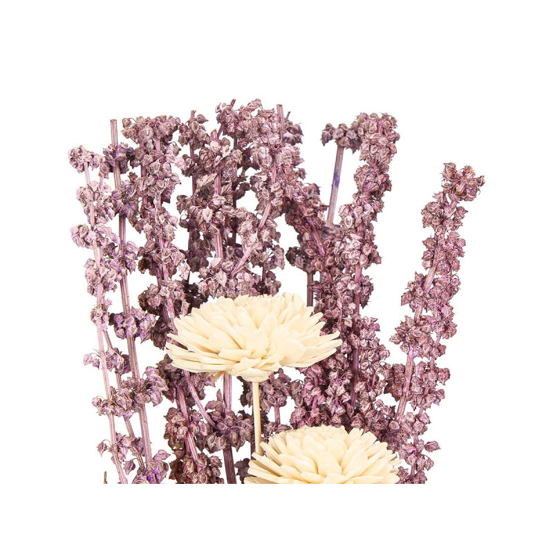 VASO ALTO LAVANDA SORT 2 MODELOS