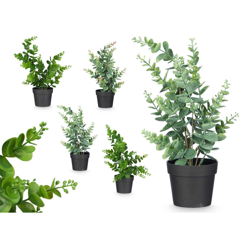 MATTE GLOSS POT ROUND LEAF PLANT ASSORTED 4 COL