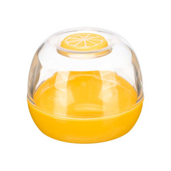 CONTAINER LEMON MAINTENANCE