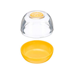 MANUTENCAO LIMOES CONTENTORES