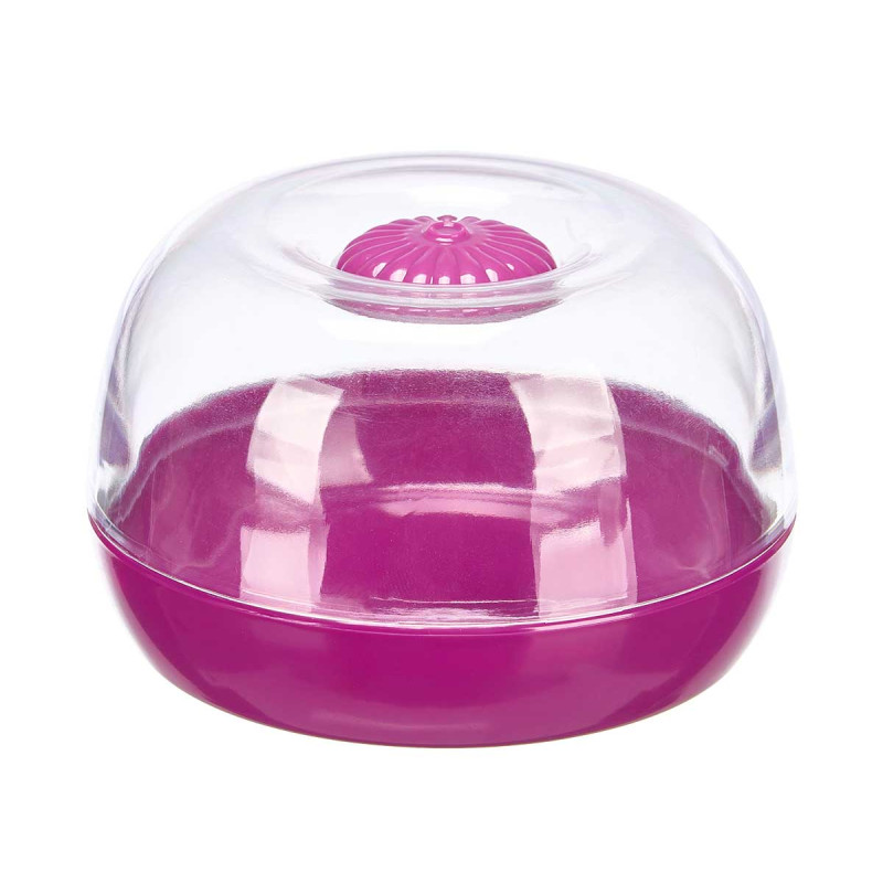 BOÎTE CONSERVATION POUR L'OIGNON