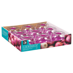 CONTAINER ONION MAINTENANCE