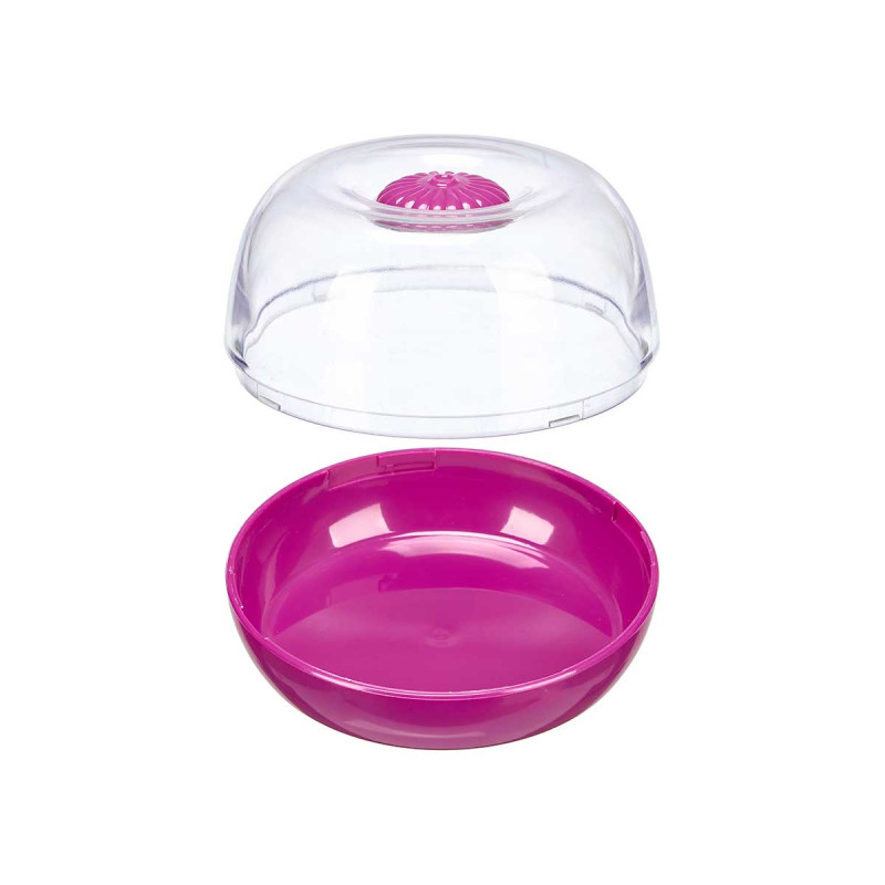 CONTAINER ONION MAINTENANCE