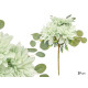 MAZZO 5 FIORI APERTI VERDE 36CM