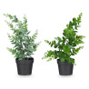MATTE GLOSS POT ROUND LEAF PLANT ASSORTED 4 COL