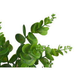 MATTE GLOSS POT ROUND LEAF PLANT ASSORTED 4 COL