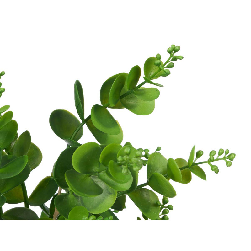 MATTE GLOSS POT ROUND LEAF PLANT ASSORTED 4 COL