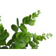 MATTE GLOSS POT ROUND LEAF PLANT ASSORTED 4 COL