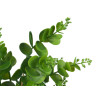 MATTE GLOSS POT ROUND LEAF PLANT ASSORTED 4 COL
