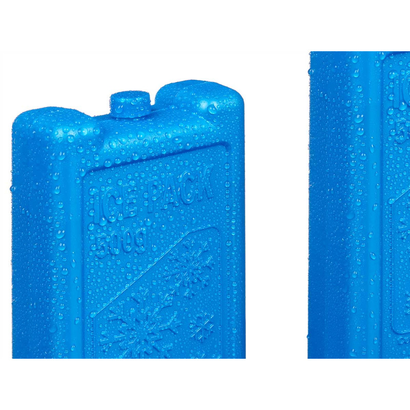 BLOC ACCUMULATEUR DE FROID 500GR