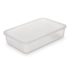 RECIPIENTE 24 X 16 X 5,1CM