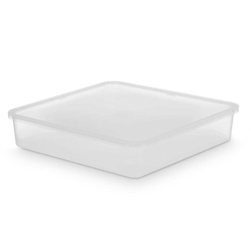 RECIPIENTE 24 X 24 X 5,1CM