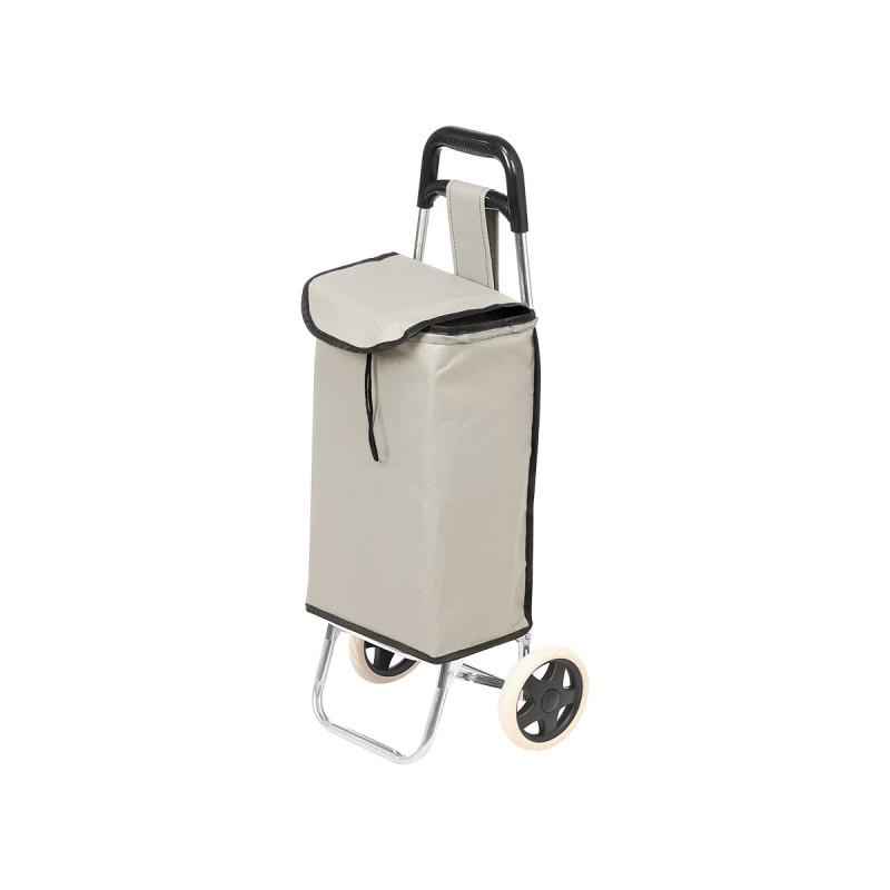 CARRO COMPRA 24L GRIS