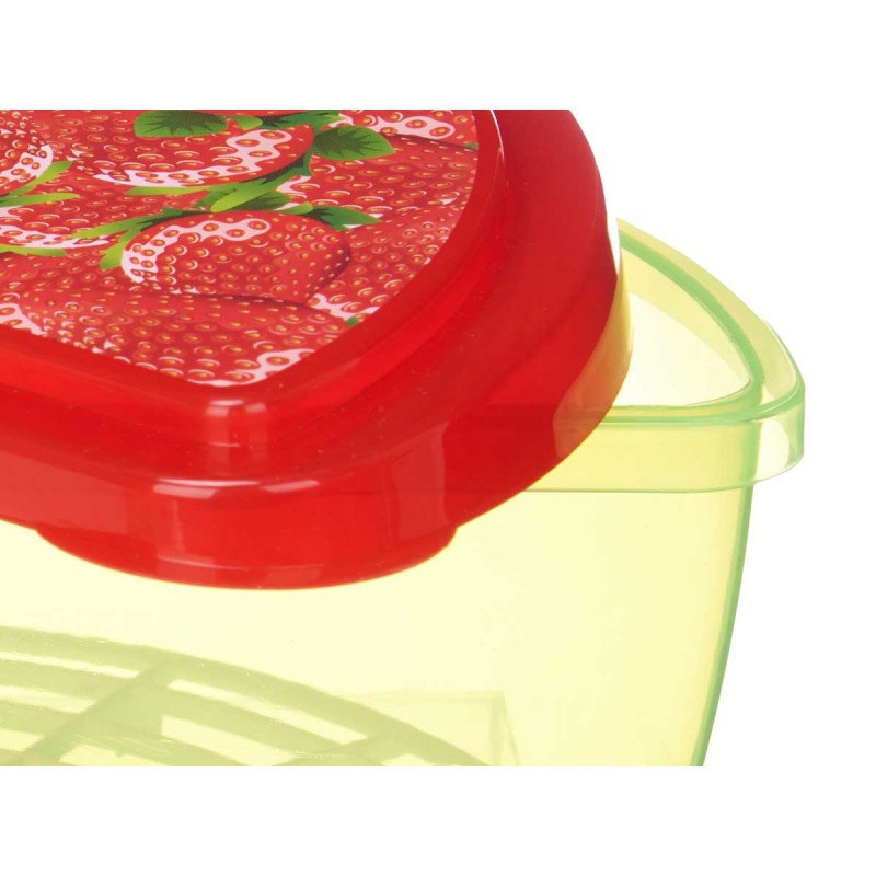 FOOD STORAGE CONTAINER WATERMELON/STRAWBERRY 1.2 L