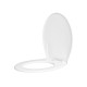 WHITE WC LID