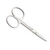 SILVER MANICURE SCISSOR