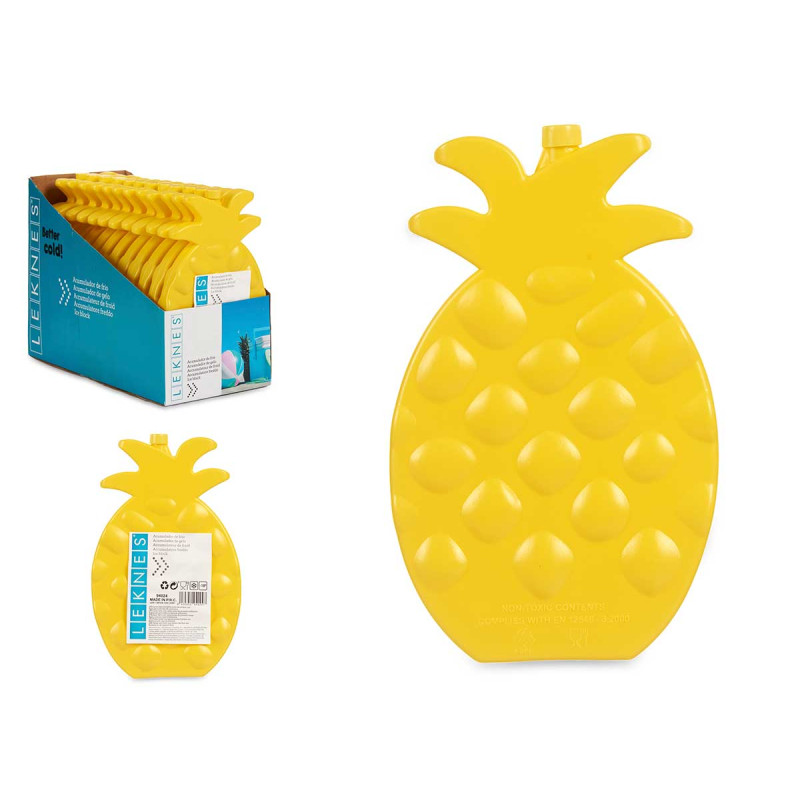 ACCUMULATEUR FROID ANANAS