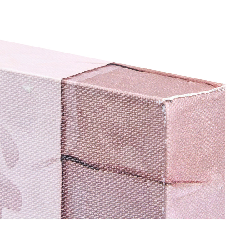 LIENZO PAISAJES PARIS SURTIDO 2 70X100CM