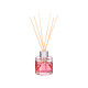 MIKADO POMME CANNELLE 30ML