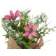 PLANTA C SACO DECORATIVO MEDIA SORT 36 CORES