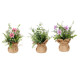 PLANTA C SACO DECORATIVO GRANDE SORT 36 CORES