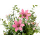 PLANTA SACO FLORES GRANDE SURT 3 COLORES