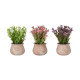 POT TERRE CUITE BAS AVEC FLEURS ASSORT 3 COULEURS