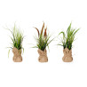 PLANT BAG LARGE ASSORT 3 COLORS