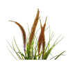 PLANTA SACO GRANDE JUNCO SURT 3 COLORES
