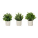 POT CIMENT FLEURS VERTES ASSORT 4