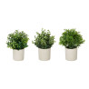 VASO CIMENTO FLORES VERDES SORT 4
