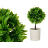 CEMENT POT GREEN TREE ASSORT 4