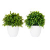 VASO PLASTICA GRANDE FIORI VERDI ASS 2