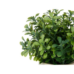 VASO PLASTICA GRANDE FIORI VERDI ASS 2