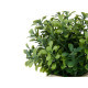 VASO PLASTICO GRANDE FLORES VERDES SORT 2