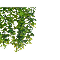 VASO PLASTICO COM PLANTA VERDE PARA PENDURAR 