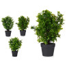 POT PLASTIQUE NOIR GRAND FLEURS VERTES ASSORT 3