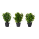 MACETA PLASTICO NEGRA GRANDE PLANTAS VERDES SURT 3